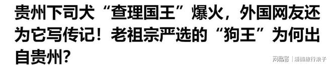 ”爆火！身价飙升至10万美元狗主人被扒冰球突破游戏网站贵州下司犬“查理国王(图4)