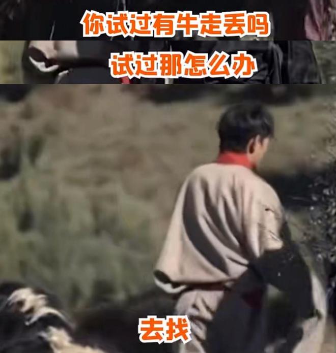资本一个向左一个向右冰球突破游戏丁真和(图6)