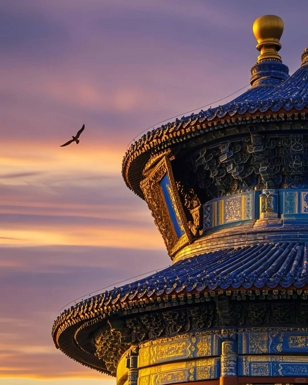 京城 7 天跟团报价看完立省上千元冰球突破游戏网站北京七日跟团游费用