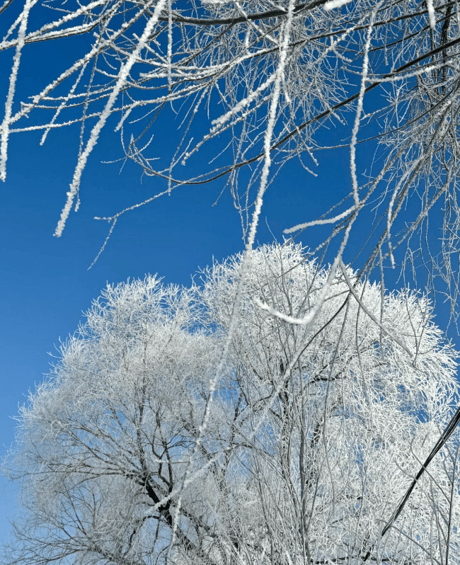 旅游五天四晚行程安排亲子打卡点与美食完整呈现！冰球突破带家人哈尔滨旅游攻略精华总